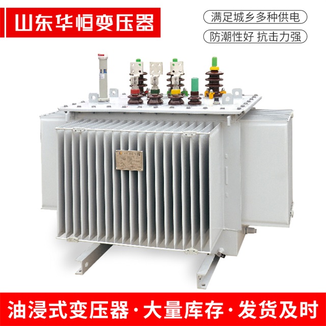 S13-10000/35台安台安台安电力变压器